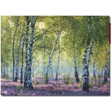 Ravensburger 167531 Březový les 1000 dílků  (4005556167531)