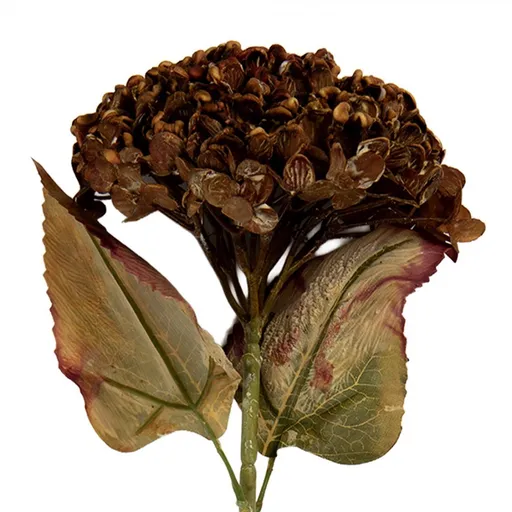 Hnědá umělá dekorace sušená květina hortenzie - 15*15*47 cm Clayre & Eef