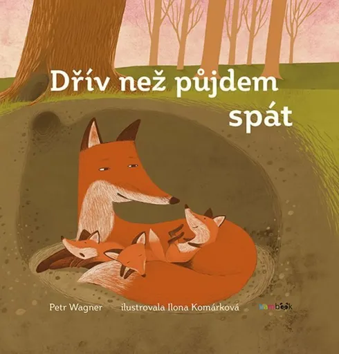 Dřív, než půjdem spát - Petr Wagner, Ilona Komárková