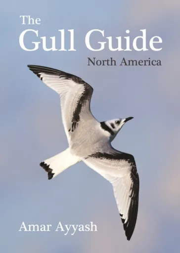 The Gull Guide - Amar Ayyash