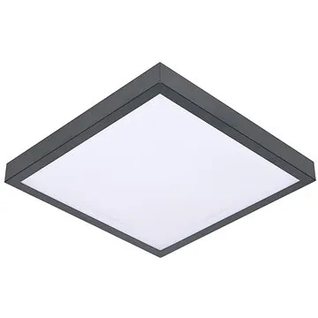 Stropní svítidlo VITAL 2xE27/60W/230V antracit (BW0108)