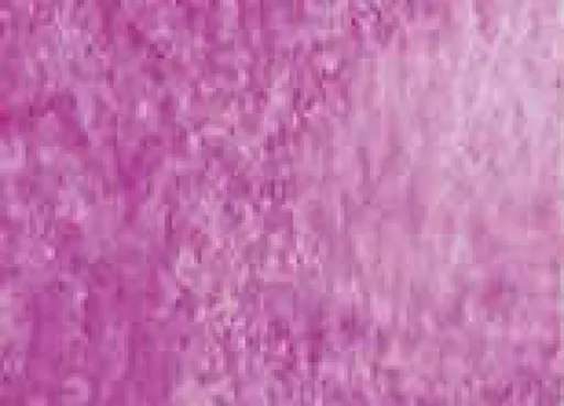 Akvarelová barva DS 5ml – 030 Cobalt Violet