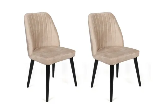 Sada židlí (2 kusy) Alfa -434 V2