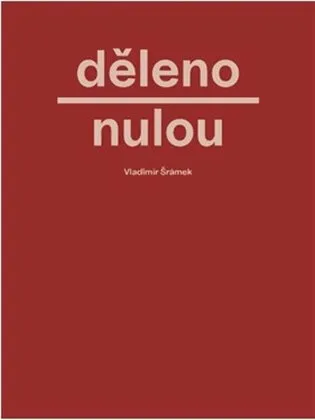 Děleno nulou - Vladimír Šrámek