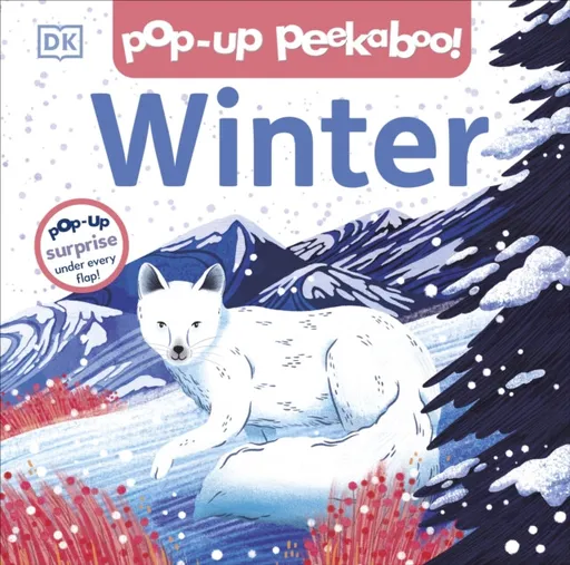Pop-up Peekaboo! Winter - DK