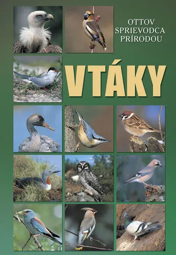 Vtáky