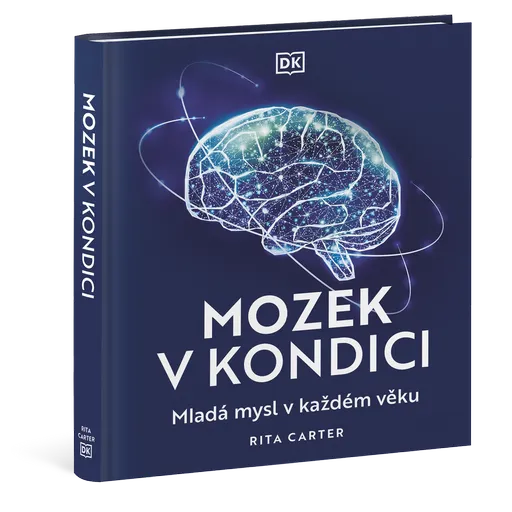 Mozek v kondici
