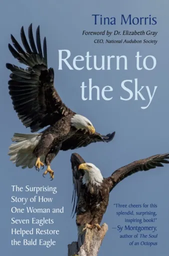 Return to the Sky - Tina Morris
