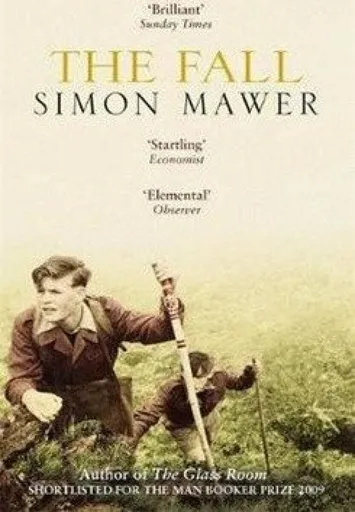 The Fall - Simon Mawer