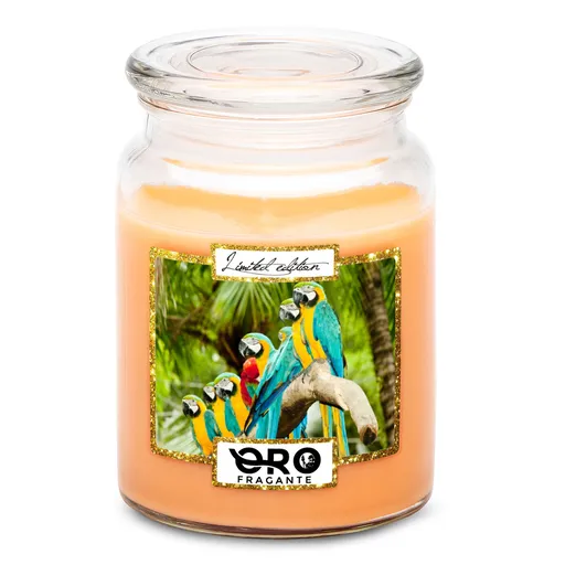 Svíčka Papoušci (Vůně svíčky: Tropické ovoce)