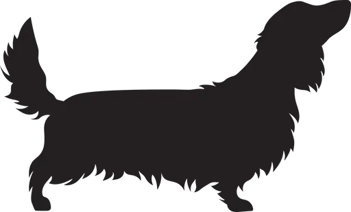 Vsepropejska Jezevčík 7 dřevěná dekorace na zeď Rozměr (cm): 23 x 38
