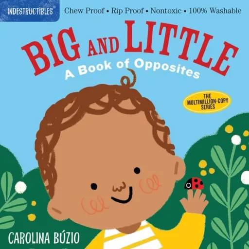 Indestructibles: Big and Little: A Book of Opposites - Amy Pixton