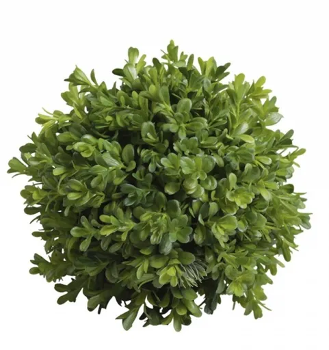 Dekorace umělá zelená koule Buxus - Ø 23cm Chic Antique