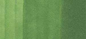 Copic classic marker – YG67 Moss