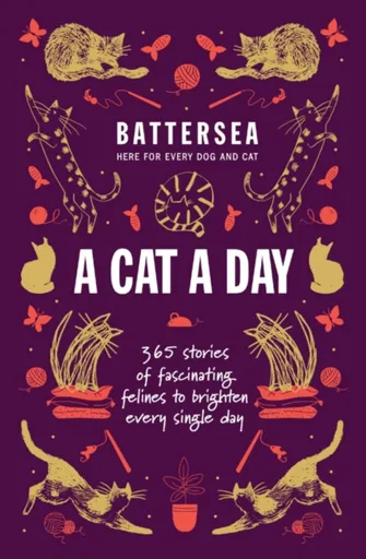 Battersea Dogs and Cats Home - A Cat a Day - Battersea Dogs and Cats Home