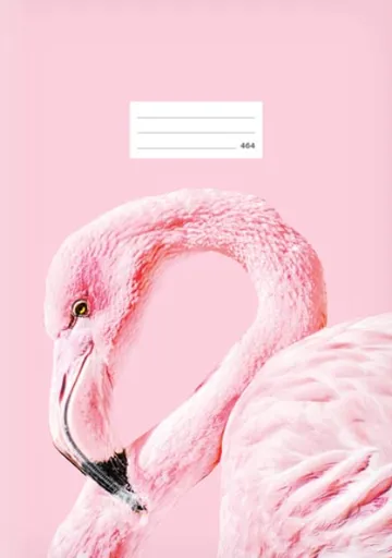 Školní sešit LUX A4 464, Plameňák