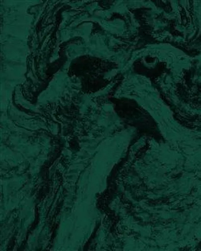 Hvězdy jedna po druhé hasnou - Roman Szpuk