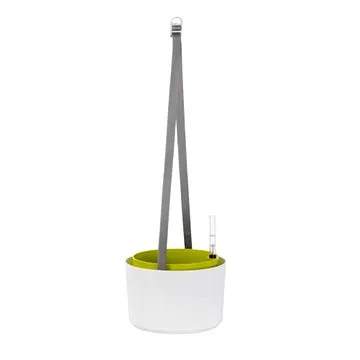 Samozavlažovací závěsná žardina Berberis 26 cm bílá + zelená (1808762639)