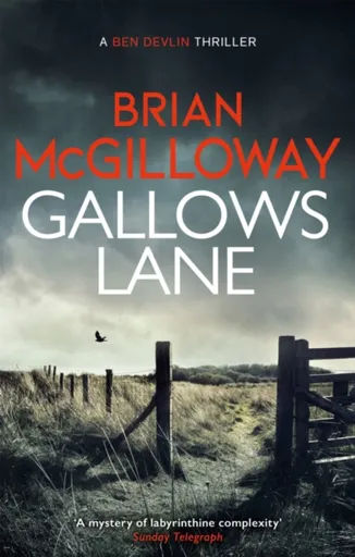 Gallows Lane - Brian McGilloway