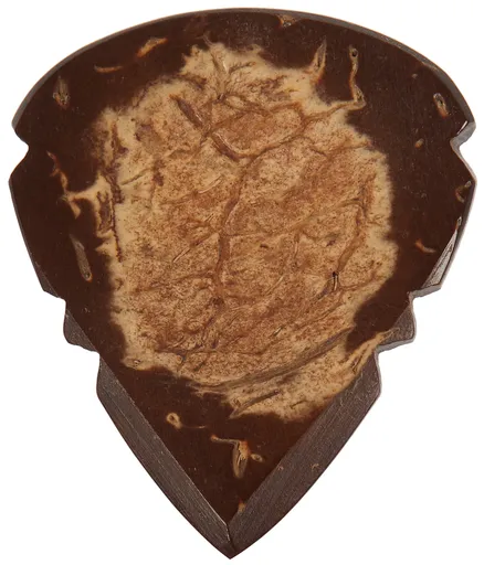 Timber Tones Arrow Tones Coconut Husk