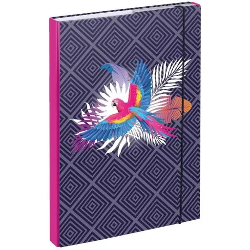 BAAGL PAPOUŠEK Desky na školní sešity A4, mix, velikost