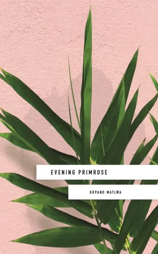 Evening Primrose: a heart-wrenching novel for our times - Kopano Matlwa