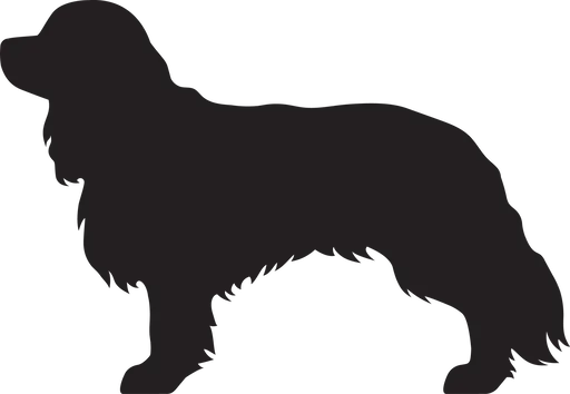 Vsepropejska Kavalír king 2 dřevěná dekorace na zeď Rozměr (cm): 29 x 38