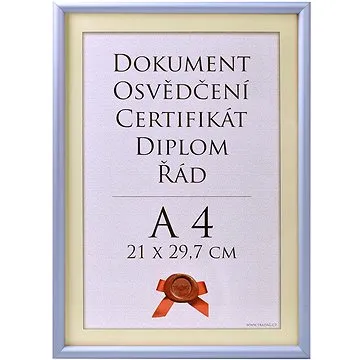 TRADAG Fotorámeček 21 × 29,7 cm, stříbrný (0800_0024)