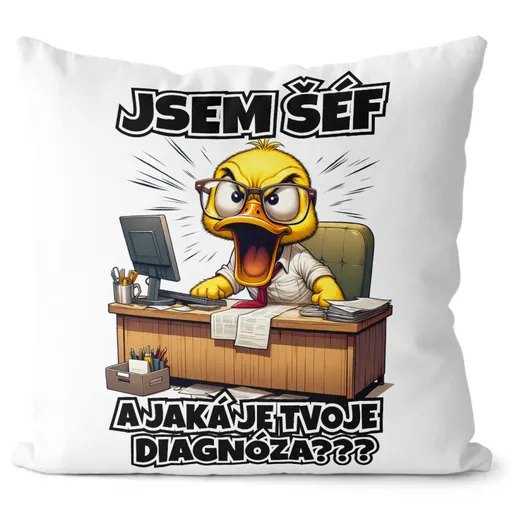 Polštář Šéf - diagnóza (Velikost: 40 x 40 cm)