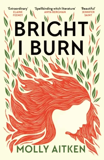 Bright I Burn - Molly Aitken