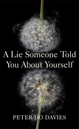 A Lie Someone Told You About Yourself - Peter Ho Davies