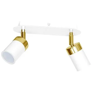 Stropní bodové svítidlo JOKER 2xGU10/25W/230V bílá (110100)