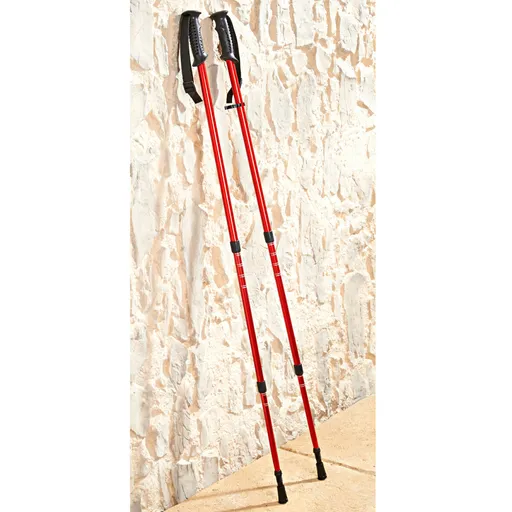 1 pár holí na nordic walking