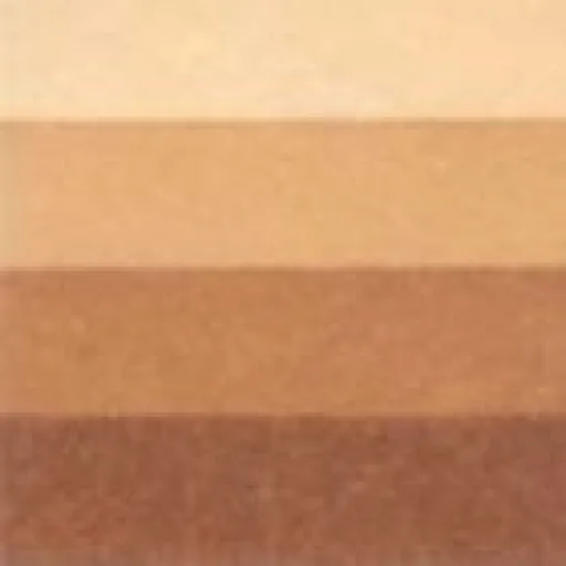 Grafická barva Charbonnel 200ml – burnt umber