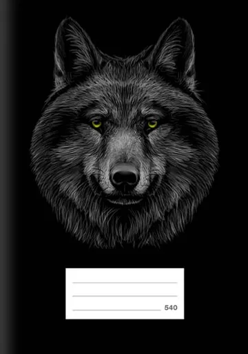 Školní sešit LUX A5 540