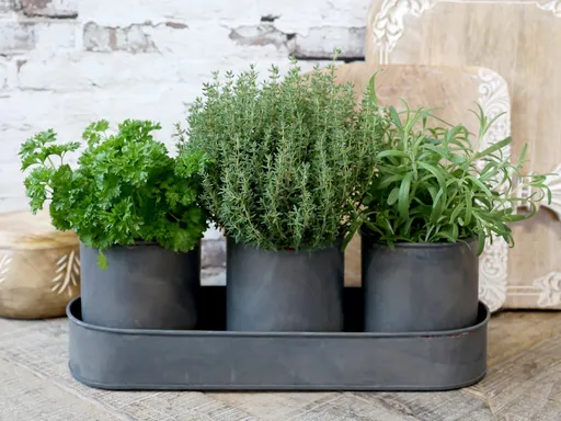 Set 3ks plechový obal na květináč s táckem Palli - Ø 10*12/ 36*12*5,5 cm Chic Antique