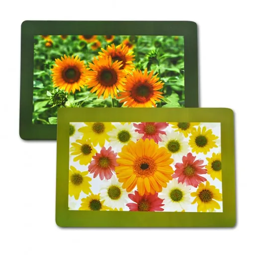 Plastové prostírání TORO 28x43cm květiny MIX motivů Varianta: CHRYSANTÉMA