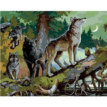 Zuty - Malování podle čísel - SMEČKA VLKŮ (IMAGE WORLD-RC), 80x100 cm, vypnuté plátno na rám (HRAmmb04607nad)