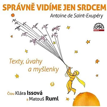 Správně vidíme jen srdcem - Texty, úvahy a myšlenky ()