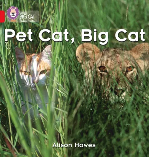 Pet Cat, Big Cat - Alison Hawes