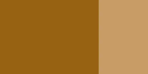 Kvašová barva Schmincke 20ml – 674 raw umber