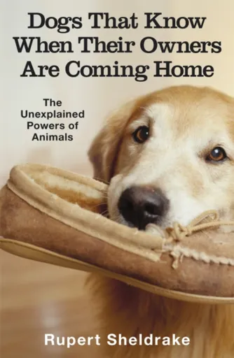 Dogs That Know When Their Owners Are Coming Home - Rupert Sheldrake
