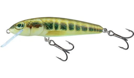 Salmo Wobler Minnow Floating 7cm - Minnow,Salmo Wobler Minnow Floating 7cm - Minnow