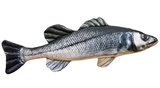 Gaby Polštář Sea Bass (Mořský vlk) 70 cm,Gaby Polštář Sea Bass (Mořský vlk) 70 cm