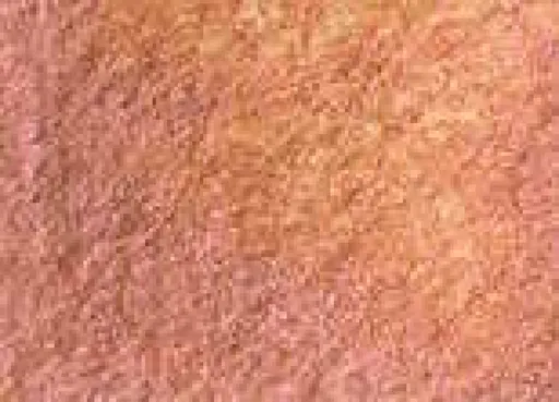 Akvarelová barva DS 15ml – 4047 Duochrome Autumn Mystery