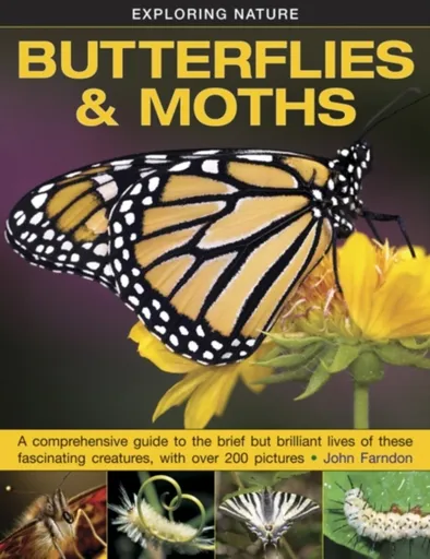 Exploring Nature: Butterflies & Moths - John Farndon