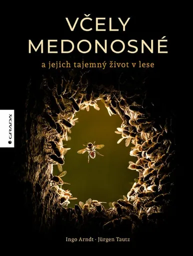 Včely medonosné a jejich tajemný život v lese - Jürgen Tautz, Ingo Arndt