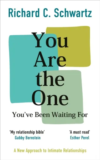 You Are the One You've Been Waiting For - Richard Schwartz