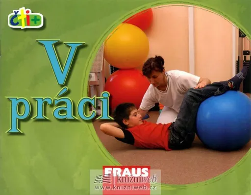 V práci (edice čti +)