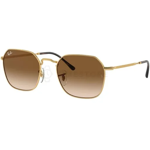 Ray-Ban RB3694 001/51 53
